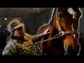 LVMH - Paardentherapie moet Oekraïense soldaten helpen traumas te verwerken