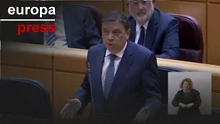PP afea a Planas ser &quot;espectador&quot; de contratos de Jéssica y este les acusa de &quot;montar circo&quot;