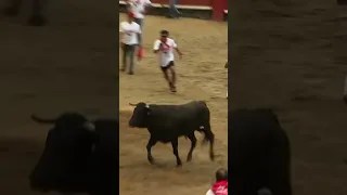 La Pamplonada Rímense di Lima rievoca la corrida spagnola