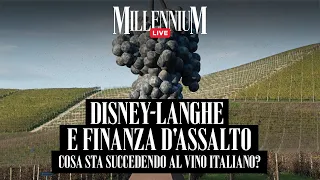 Disney-Langhe e finanza d&#39;assalto, cosa sta succedendo al vino italiano?