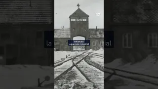 Cómo funcionaba Auschwitz, el mayor campo de concentración y centro de exterminio del nazismo