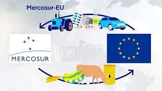 EU-Mercosur-Abkommen: Kommt der umstrittene Freihandel zustande? | DW Nachrichten