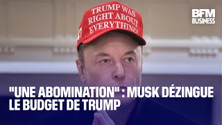 &quot;Une abomination&quot; : Musk dézingue le budget de Trump