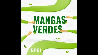 Mangas Verdes | Cine comprometido con el medio ambiente