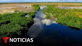 Planeta Tierra: Inquietud por impacto de &#39;Alligator Alcatraz&#39; en los Everglades | Noticias Telemundo