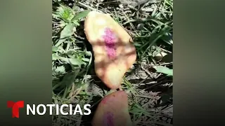 Un lamentable hábito en un poblado de Chiapas, México, provoca la muerte de tres niños