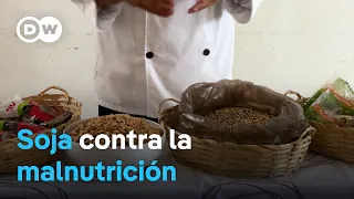 SOYBEAN El reportero | El sacerdote de la soja en Venezuela