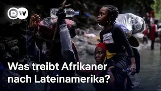 Immer mehr Afrikaner wandern nach Brasilien aus | DW Nachrichten