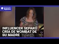 Una ‘influencer’ estadounidense separó a una cría de wombat de su madre para un video