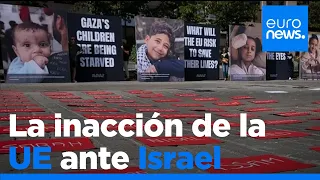 La inacción de la UE ante Israel podría erosionar el orden internacional, advierte la ONG Avaaz