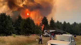 Gli incendi hanno devastato le foreste della Patagonia