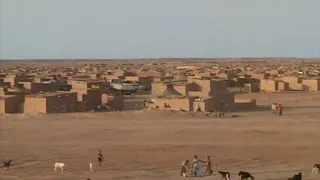 EGIDE Sahara occidental : les discussions reprennent sous l'égide de l'ONU