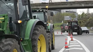 &quot;Wir haben die Nase voll&quot;: Französische Landwirte protestieren gegen MERCOSUR