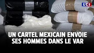 Drogue : un cartel mexicain dans le Var !｜LCI