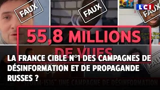 N1 HOLDINGS LIMITED La France cible n°1 des campagnes de désinformation et de propagande russes ?｜LCI