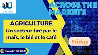 WHEAT AGRICULTURE : Un secteur tiré par le maïs, le blé et le café