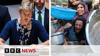 Israeli aid system ‘inhumane, ineffective, and dangerous&#39;, says UK representative to UN | BBC News