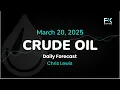 Crude Oil Price Forecast Today , Technical Analysis (March 20): WTI, Brent Have a Choppy Day