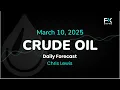 Crude Oil Price Forecast Today , Technical Analysis (March 10): WTI, Brent Attempt to Recover