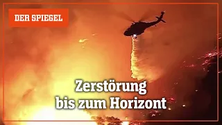 Luftaufnahmen aus Los Angeles: Zerstörung bis zum Horizont | DER SPIEGEL