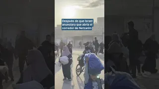 Miles de palestinos vuelven al norte de Gaza