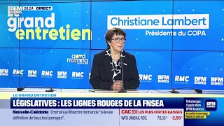 COPA HLD. Christiane Lambert (COPA) : Législatives, les craintes des agriculteurs