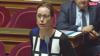 KELLER GRP. ORD 10P IVG - Fabienne Keller : "Je voterai le délit d'entrave numérique à l'IVG"