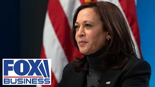 ANHEUSER-BUSCH Former Anheuser-Busch exec warns Harris could &#39;shut down free speech&#39;