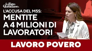 &quot;Record di occupazione? State mentendo, ignorate 4 milioni di lavoratori poveri&quot;, l&#39;appello M5S