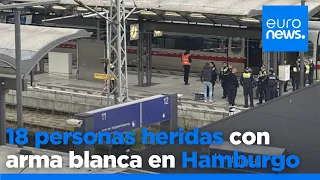 Un ataque con cuchillo en la Estación Central de Hamburgo deja al menos 18 heridos