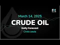 Crude Oil Price Forecast Today , Technical Analysis (March 14): WTI, Brent Attempt to Find Floor