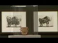 Picasso, cet Ibère : rétrospective au musée de Santander