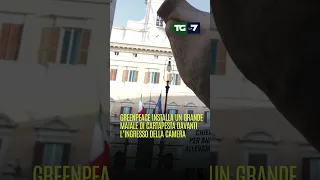 #Greenpeace installa un grande maiale di cartapesta davanti l’ingresso della camera