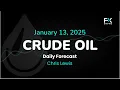 Crude Oil Price Forecast Today , Technical Analysis (January 13): WTI, Brent Continue Their Rally