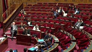 Budget Outre-mer 2025 : Le Sénat adopte des crédits en hausse par rapport au projet de loi initial