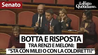 Botta e risposta tra Renzi e Meloni: &quot;Milei le ha regalato una motosega, gli ha dato un Brunetta?&quot;