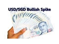 Aumento del par USD/SGD