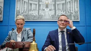 Allemagne : AfD classée comme parti d&#39;extrême droite par l&#39;agence nationale de renseignement