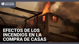 ¿Incendios en California agravarán la crisis de vivienda? Experta habla de los posibles impactos