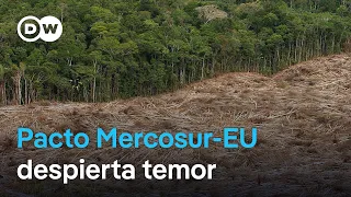 El tratado comercial entre la Unión Europea y Mercosur podría tener graves consecuencias ambientales