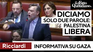 Gaza, Ricciardi a Tajani: &quot;Noi plateali? Diciamo solo due parole: Palestina libera&quot;