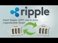 (203) Hoort Ripple wel in onze cryptofamilie thuis?