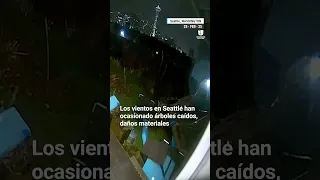 Fuerte ráfaga de viento arrastra los muebles de un jardín