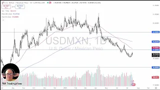 USD/MXN USD/MXN Analysis: US Dollar Bounces Amist Chaos Versus Peso