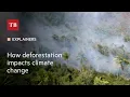 How deforestation impacts climate change