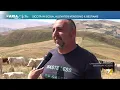 LIVE CATTLE - Siccità in Sicilia, allevatori vendono il bestiame