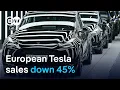 TESLA INC. - Do Europeans buy less Tesla products because of Musk's close relationship with Trump? | DW News