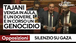 &quot;A Gaza un genocidio. Vogliamo sapere la posizione del governo&quot;, opposizioni dure in senato