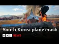 South Korea plane crash kills 179 people | BBC News