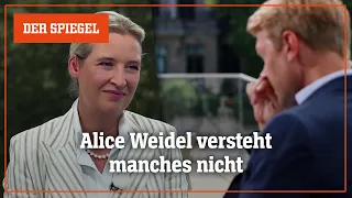Alice Weidel im ARD-Sommerinterview: Lautstarker Protest gegen AfD-Chefin  | DER SPIEGEL